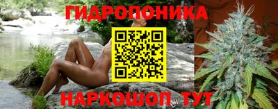 дживик Пенза