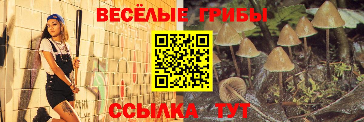Галлюциногенные грибы Cubensis  Вход с VPN  Хасавюрт 